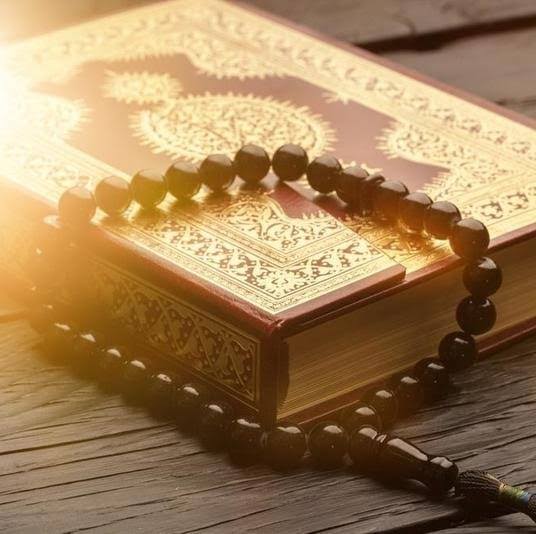 إسراء احمد مصطفي المرشدي 